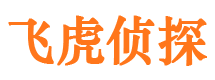 新蔡侦探公司